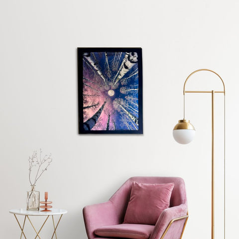 Silver Birch Tree Paintings