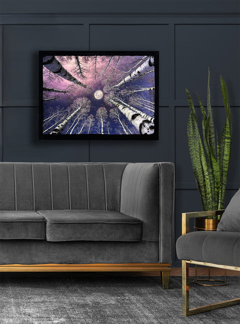 Silver Moon Birch Tree Painting