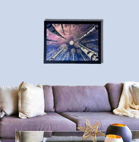 Silver Moon Birch Tree Painting