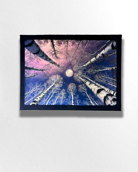 Silver Moon Birch Tree Painting
