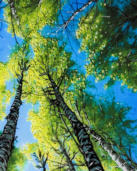 Summer Breeze Silver Birch Tree Painting