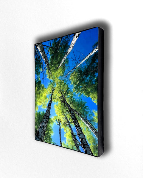 Summer Breeze Silver Birch Tree Painting