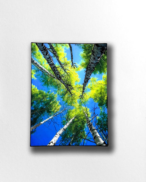 Summer Breeze Silver Birch Tree Painting