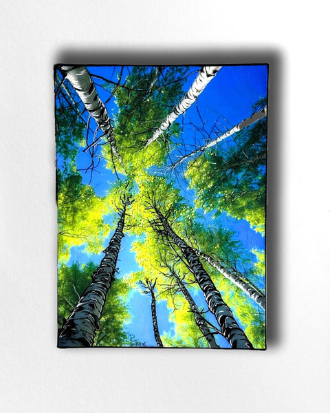 Summer Breeze Silver Birch Tree Painting