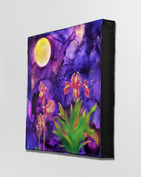 Purple Gold Iris Flowers | Buy NZ art online | Stirling Art.