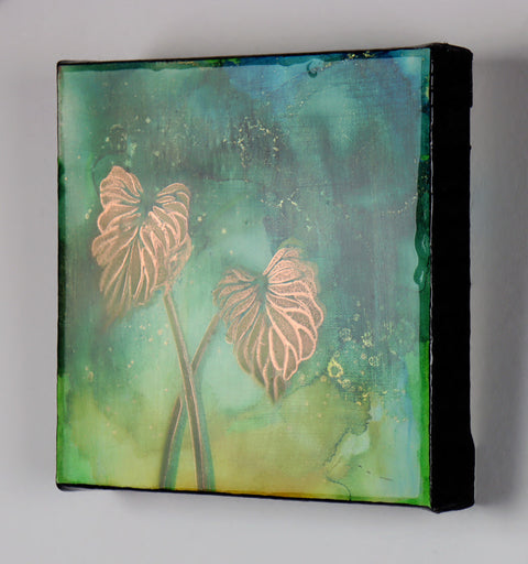 Monstera Fenestrations | Buy NZ art online | Stirling Art.