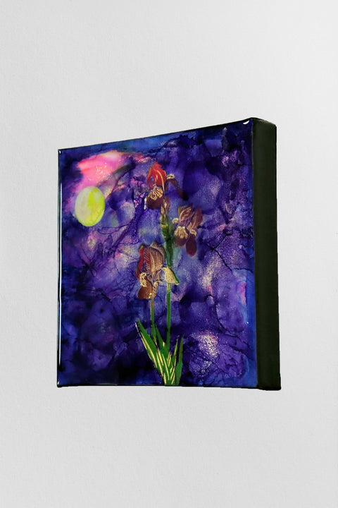 Bearded Lunar Iris | Buy NZ art online | Stirling Art.