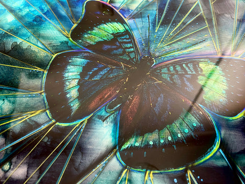 Glass Butterfly No 2 Painting