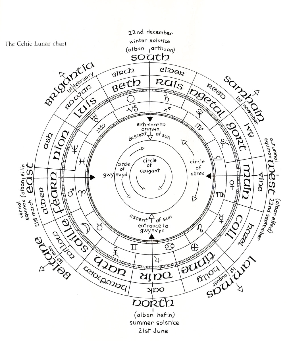 Celtic Lunar Moon Chart 13 Month Tree Calendar Stirling Art