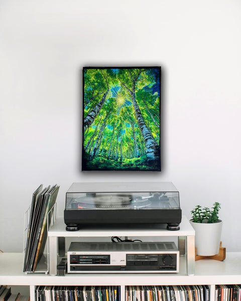 Dance of the Silver Birch Trees Painting
