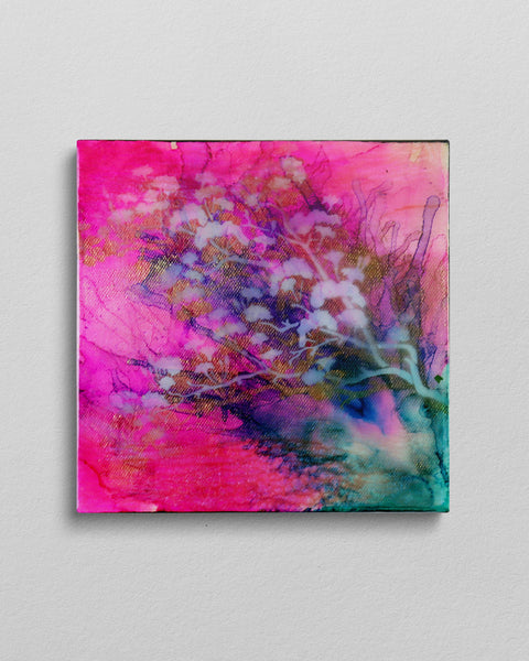 Iridescent Pink Cherry Blossom | Buy NZ art online | Stirling Art.