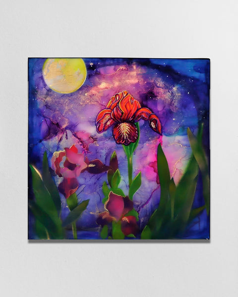 Midnight Iris | Buy NZ art online | Stirling Art.