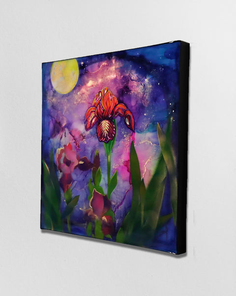 Midnight Iris | Buy NZ art online | Stirling Art.