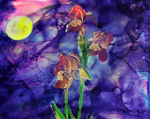 Bearded Lunar Iris | Buy NZ art online | Stirling Art.